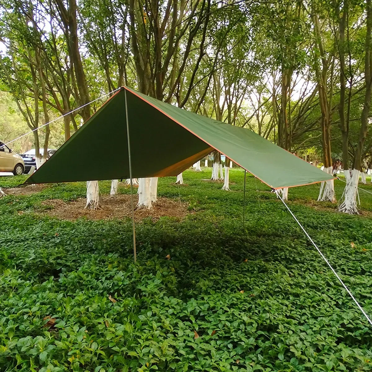 Camping Tarp Waterproof Tent H - Hammock Rain Tarp 评论和价格